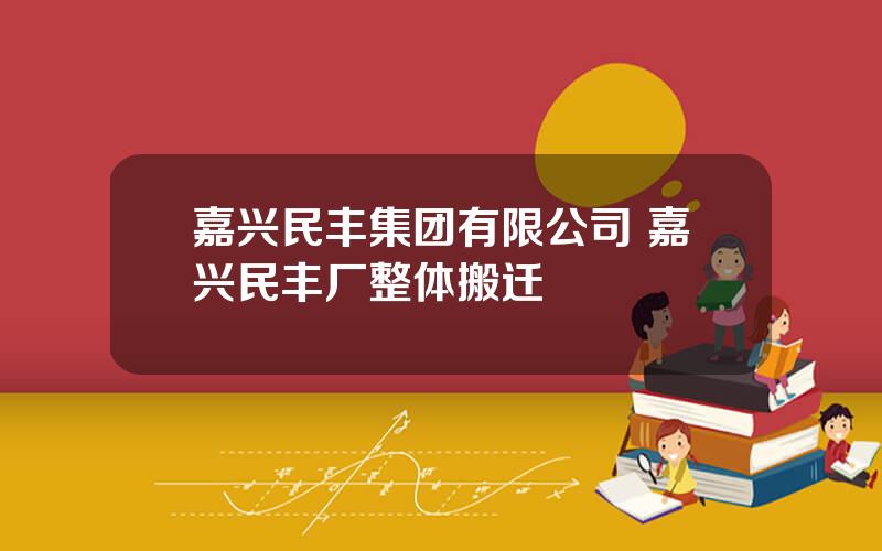 嘉兴民丰集团有限公司 嘉兴民丰厂整体搬迁